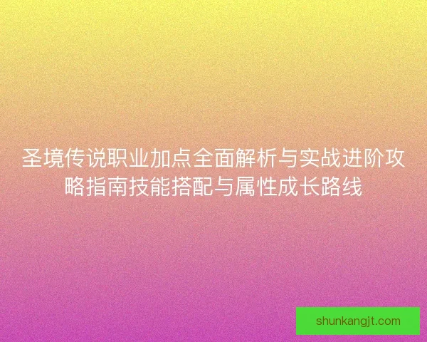 圣境传说职业加点全面解析与实战进阶攻略指南技能搭配与属性成长路线