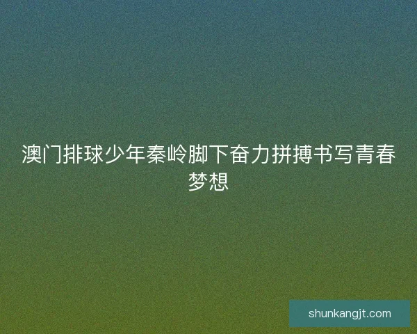 澳门排球少年秦岭脚下奋力拼搏书写青春梦想